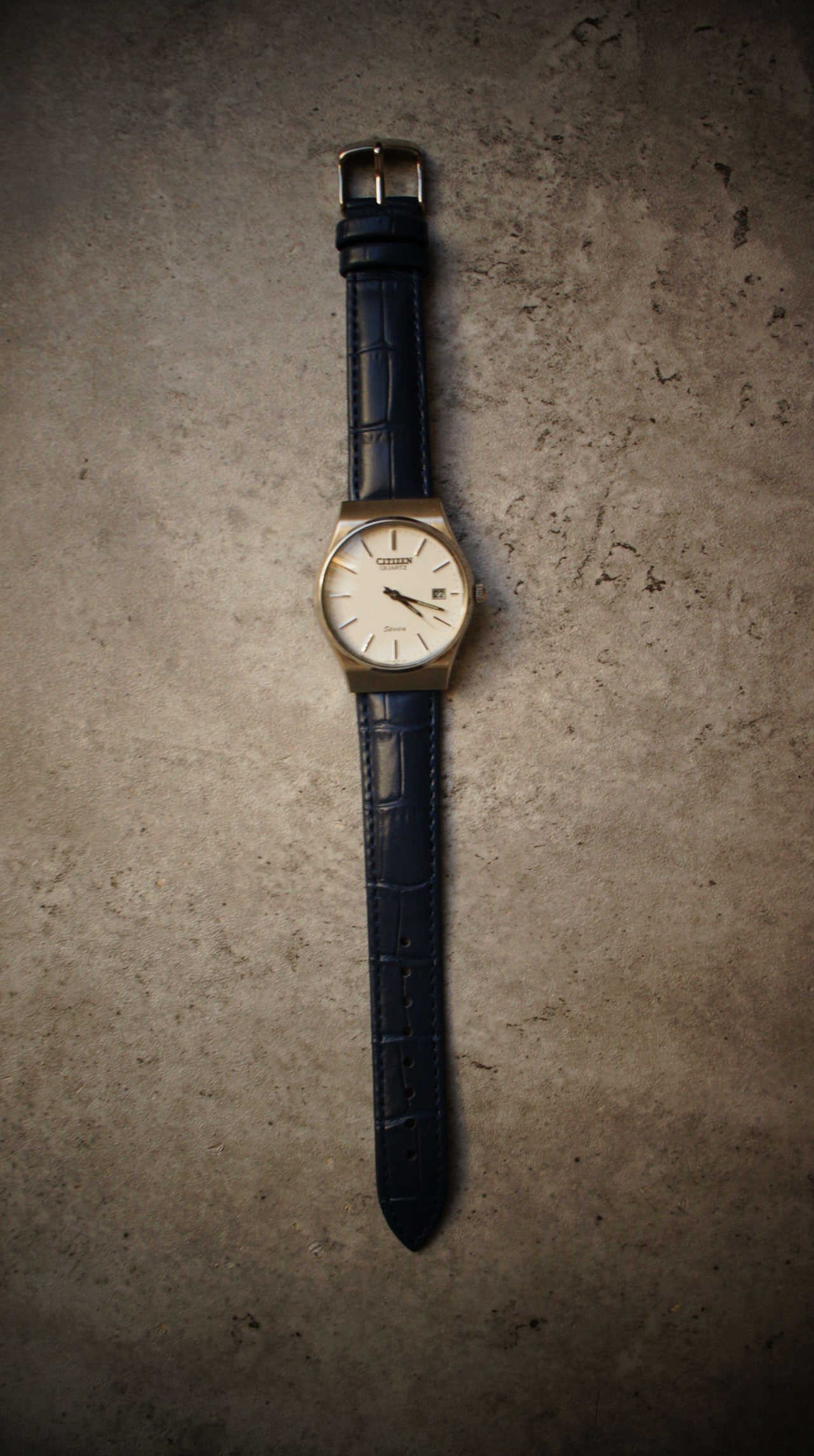 Citizen Watch Co.  21100133