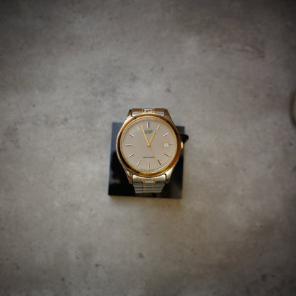 Citizen Quartz GN-4W-S Two-Tone – neo-vintage watch
